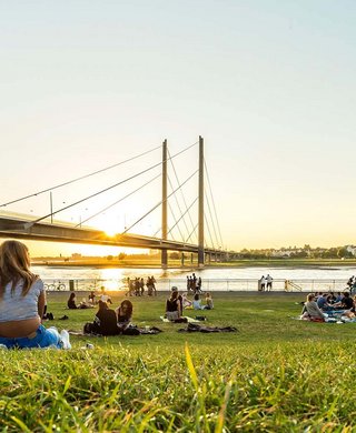 Menschengruppen sitzen auf einer Wiese am Rhein. Im Hintergrund geht die Sonne hinter einer Brücke unter. 